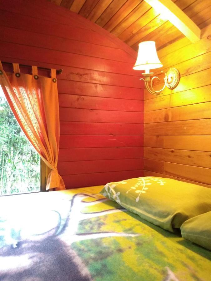 Hosteria La Roulotte - Mindo Extérieur photo